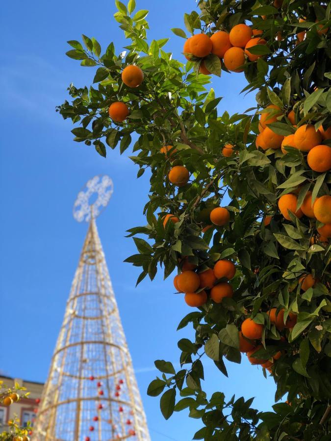 Picasso City Center 1A Malaga Bagian luar foto